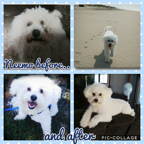 Meet your posher ๐คโคโบ๐ฏ๐๐๐ - Picture 10 of 16